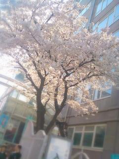 20110406_nyugaku.JPG